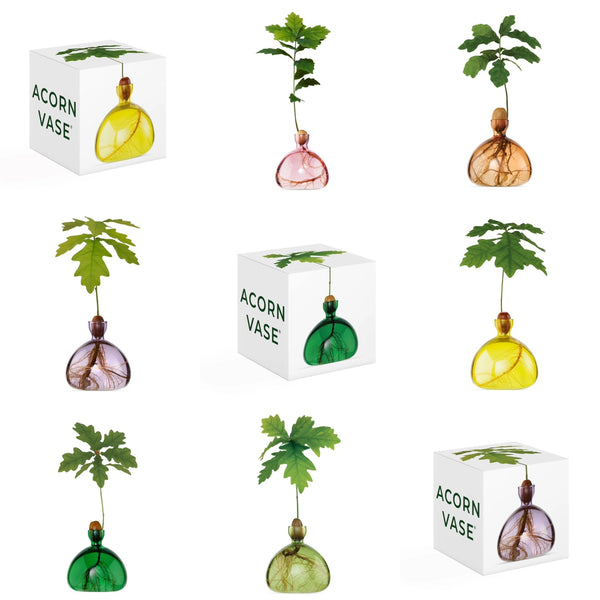 Acorn Vase by Ilex Studio
