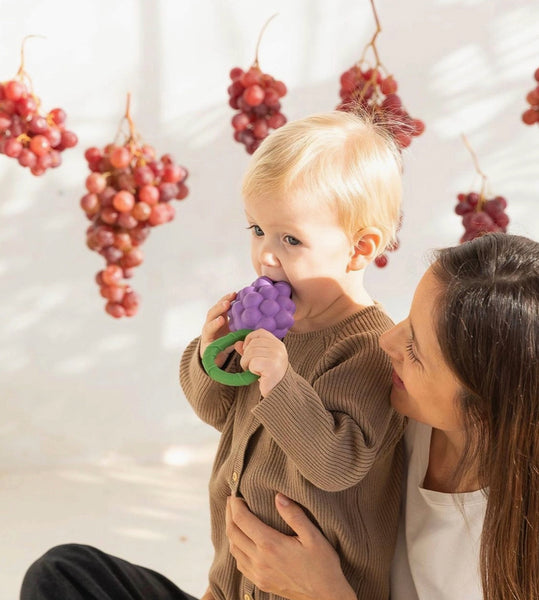 Oli & Carol Grape Rattle Toy
