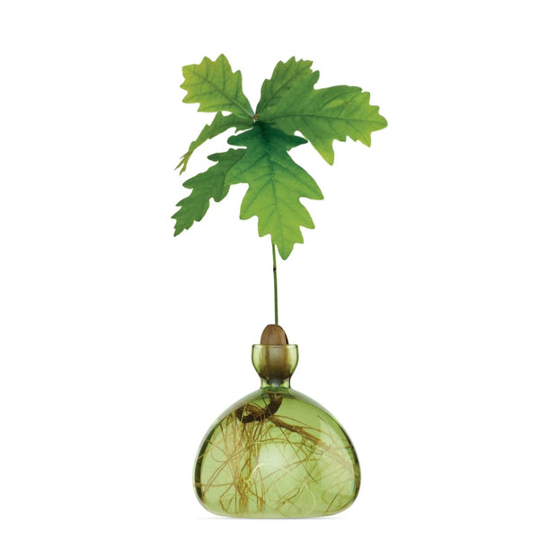 Acorn Vase by Ilex Studio