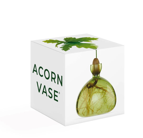 Acorn Vase by Ilex Studio