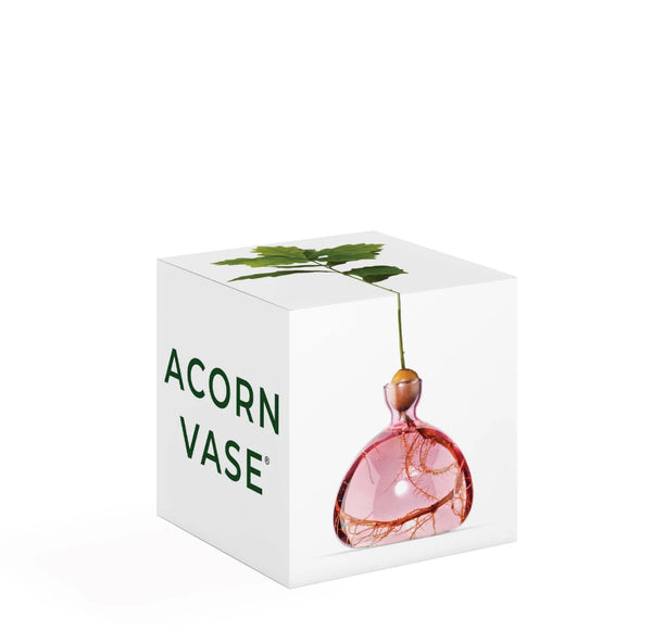 Acorn Vase by Ilex Studio