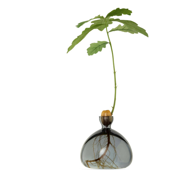 Acorn Vase by Ilex Studio