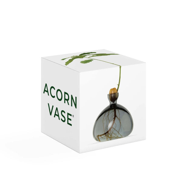 Acorn Vase by Ilex Studio
