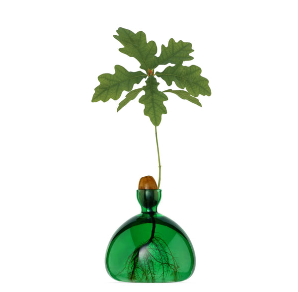 Acorn Vase by Ilex Studio