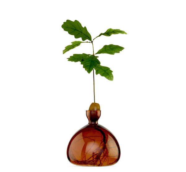 Acorn Vase by Ilex Studio