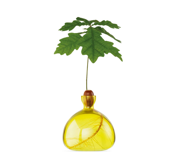 Acorn Vase by Ilex Studio