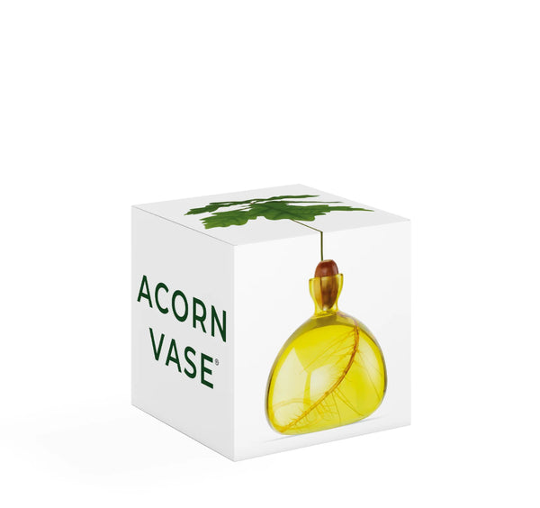 Acorn Vase by Ilex Studio