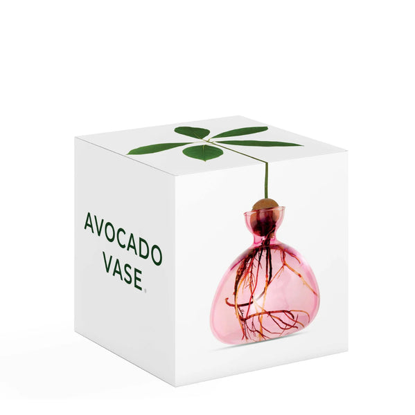Avocado Vase by Ilex Studio