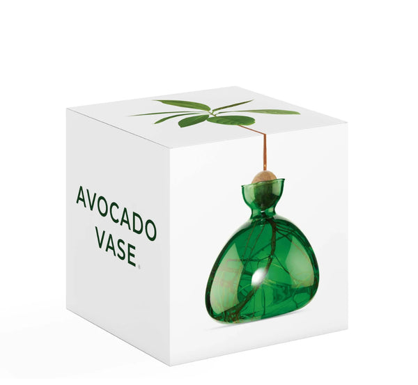 Avocado Vase by Ilex Studio