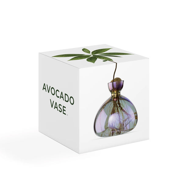 Cosmic Avocado Vase by Ilex Studio