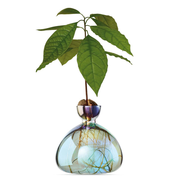 Cosmic Avocado Vase by Ilex Studio