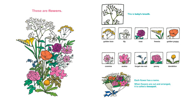 Taro Gomi’s Big Book Of Words