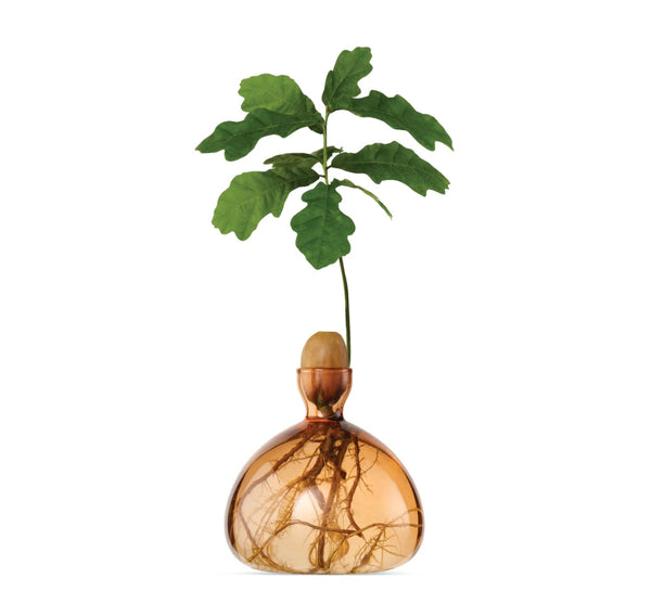 Acorn Vase by Ilex Studio