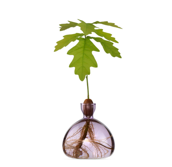 Acorn Vase by Ilex Studio