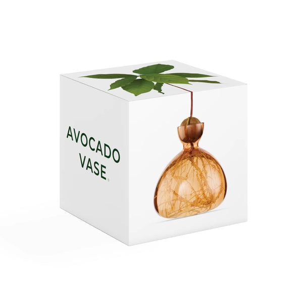 Acorn Vase by Ilex Studio