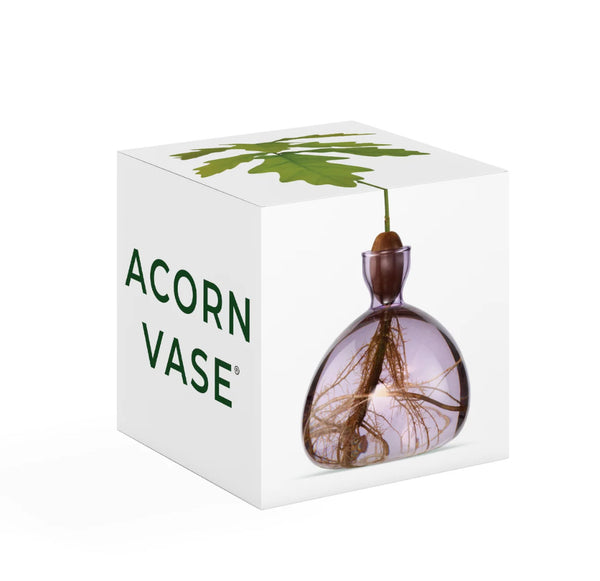 Acorn Vase by Ilex Studio