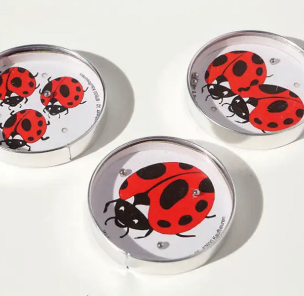 Ladybird Puzzle Game