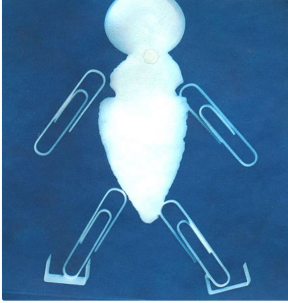 Sunprint Kit