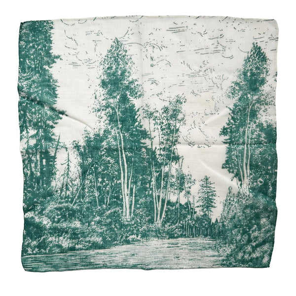 Vintage Hankie (H8)