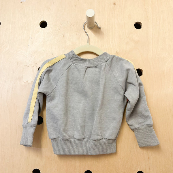 Vintage Gray Sweatshirt / 24M