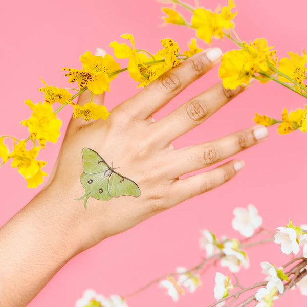 Butterfly Tiny Tattoo Tin