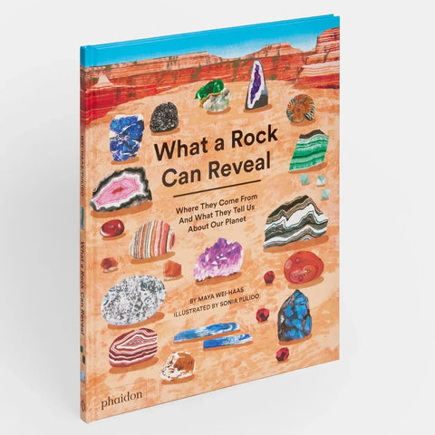 What A Rock Can Reveal