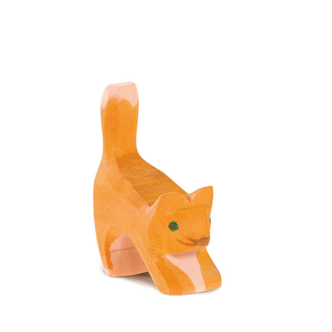 Ostheimer Orange Cat Small Head Low