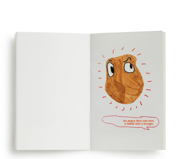 The Angry Fairy - a book to illustrate