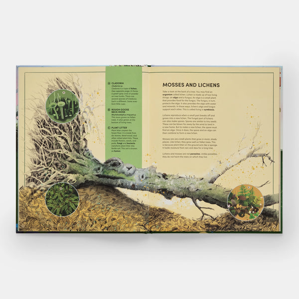 The Tomorrow Tree: How Nature Creates New Life from Old