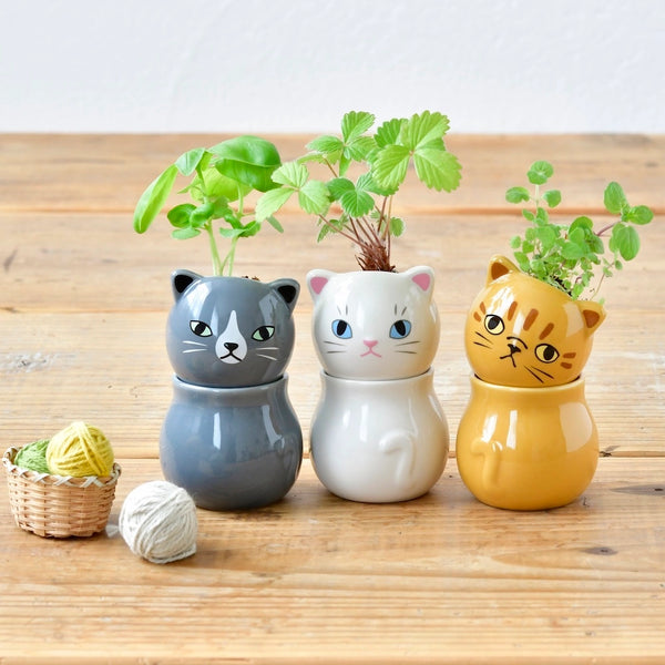 Corocoro Cats - Assorted 3 Styles