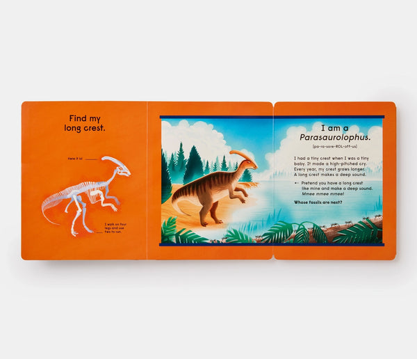 Who’s That Dinosaur