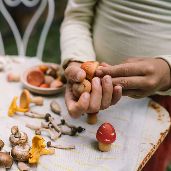 Grapat Play Set Mushroom Grove