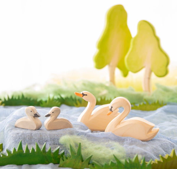 Ostheimer Small Swan (cignet)