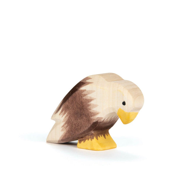 Ostheimer Bald Eagle Sitting