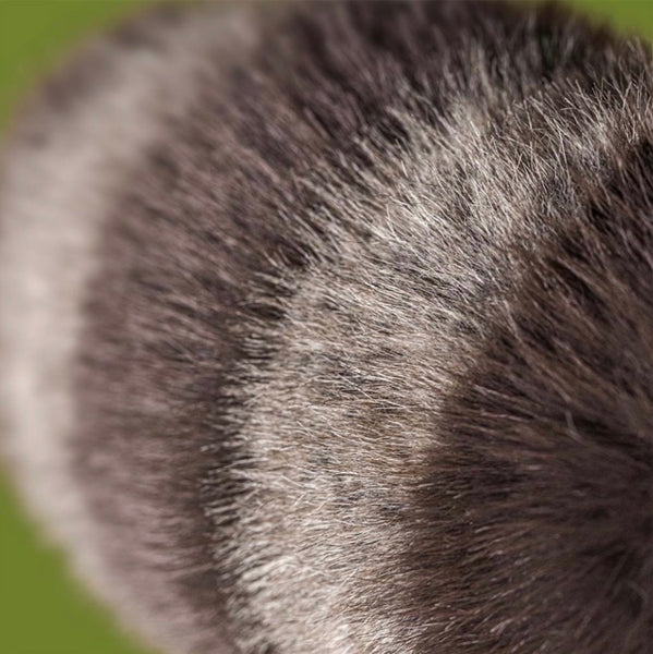 Trixiwoo Raccoon by Jellycat