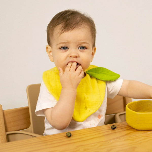 Oli & Carol Lou the Lemon Bib