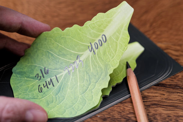 B8 Mart Sticky Notes, Lettuce Leaf And Fresh Fish