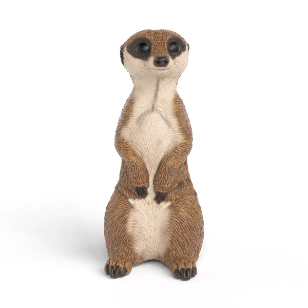 Schleich Meerkat