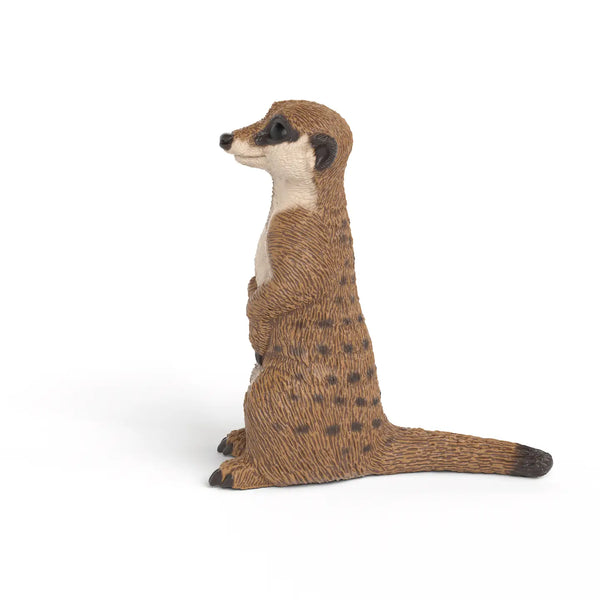 Schleich Meerkat