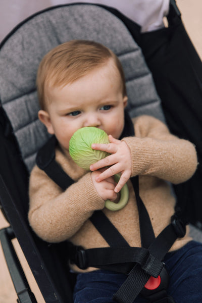 Oli & Carol Cabbage Rattle Toy