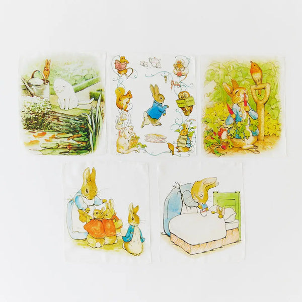 Mini Beatrix Potter Mystery Boxes by Sarah's Silks