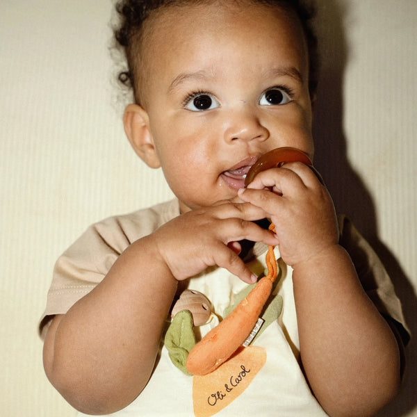 Oli & Carol Cathy the Carrot Pacifier Clip
