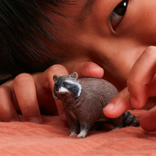 Raccoon by Schleich