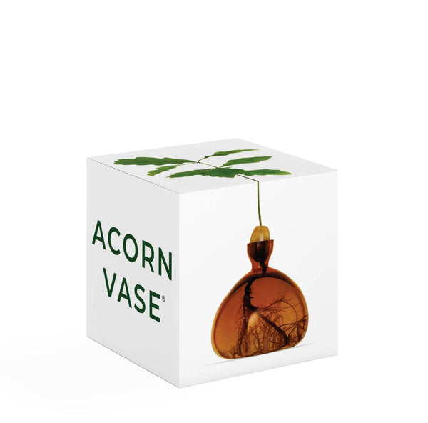 Acorn Vase by Ilex Studio
