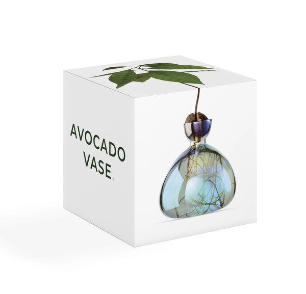 Cosmic Avocado Vase by Ilex Studio