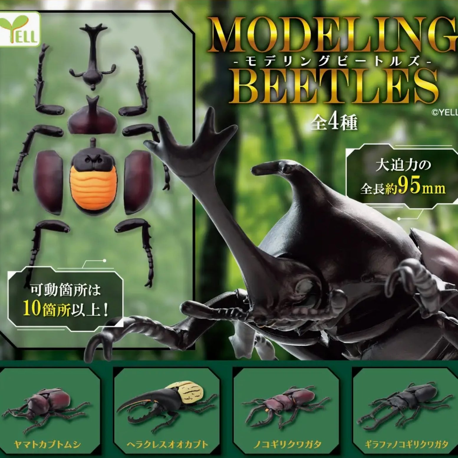 Beetle Model Blind Box From Japan