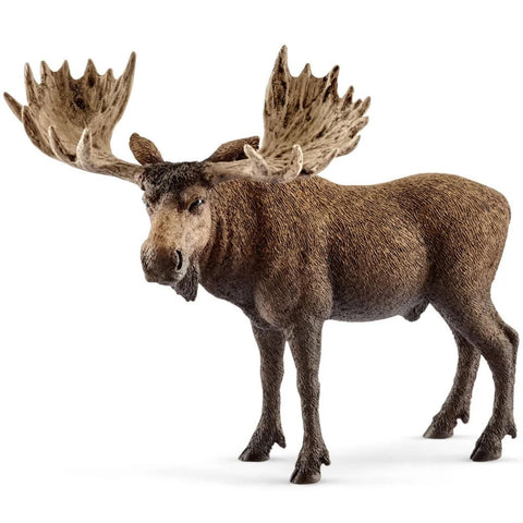 Moose Bull by Schleich