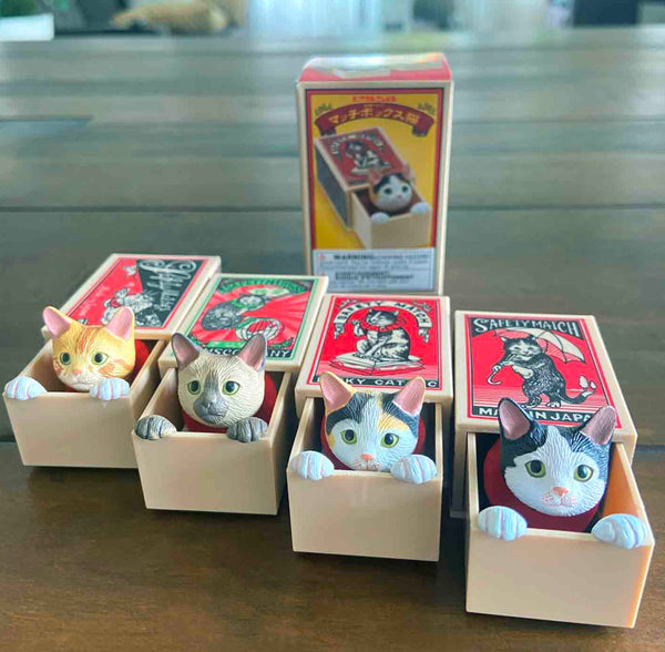 Funabashi Match Box Cats by Kitan Club