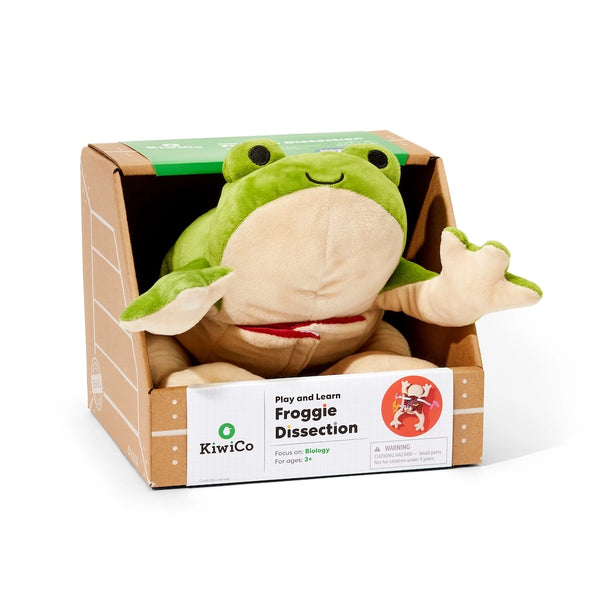 Froggie Dissection Lab, Anatomy Learning Toy For Kids