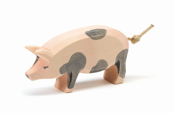Ostheimer Spotted Pig (head high)